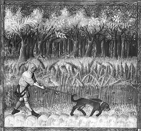 Scène de chasse. Chasseur avec son chien