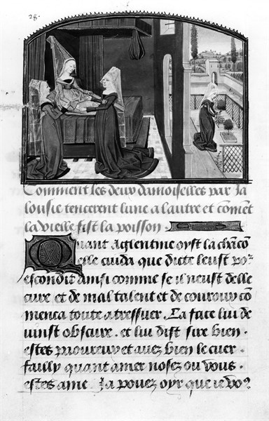 Novel of the Violet Survey of a lady of quality