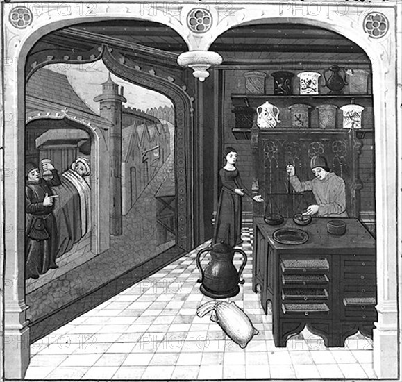The Owner of Things, by Bartholomew Anglicus