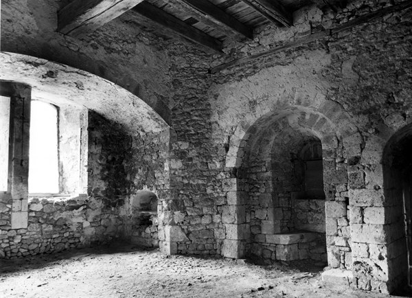 Low vault of the castle of the counts de Champagne with Layered branches