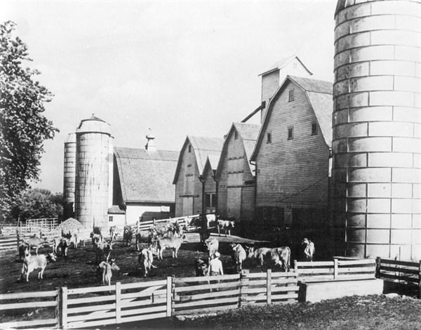 Etats-Unis. Une ferme laitière moderne dans l'Iowa (années 50).