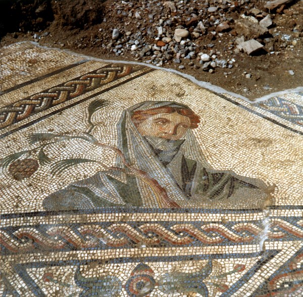 Mosaïque gallo-romaine , Vienne (Isère)