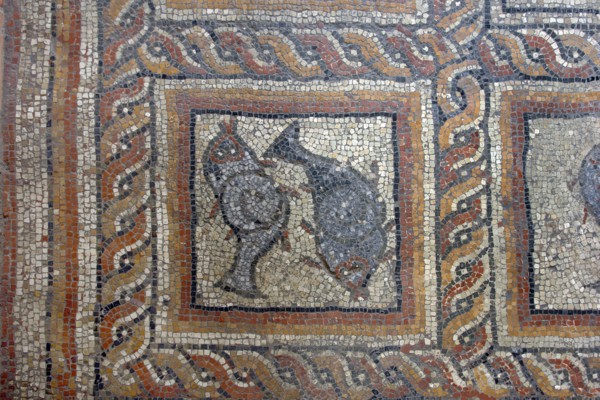Excavations in Montcaret