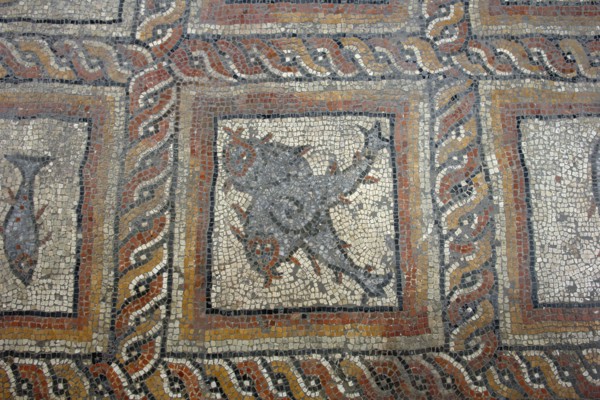 Excavations of Montcaret
