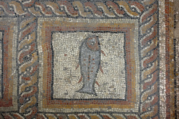 Excavations in Montcaret