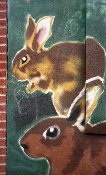 Montréal - Québec. Art populaire. Peintures de rue.