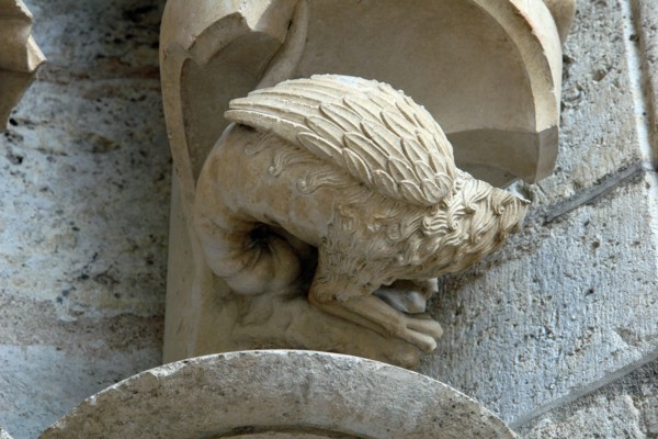Chartres.
