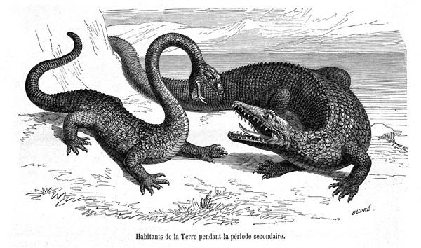 Prehistoric animals.