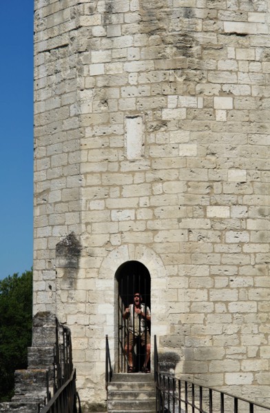 Avignon