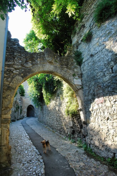 Cité médiévale de Vaison-la-Romaine