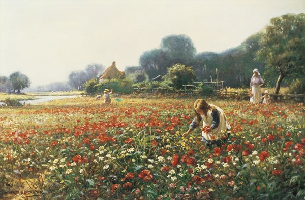 Blacklock, Picking Posies