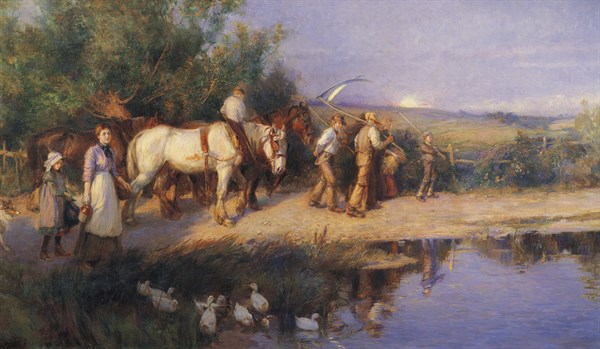 Foster, Homeward Bound in the Desert