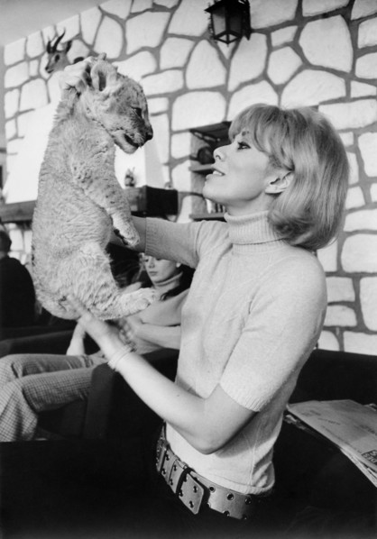 Mireille Darc
