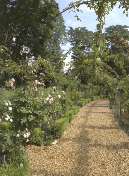 The rose garden, Brodsworth Hall, South Yorkshire, 1999