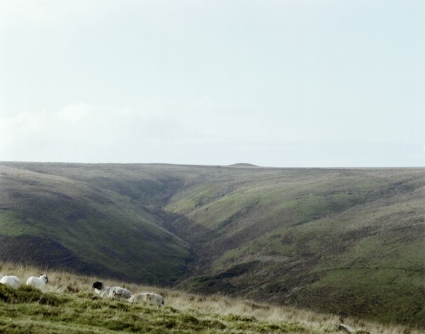 Wood Barrow, Exmoor, Somerset, 1999