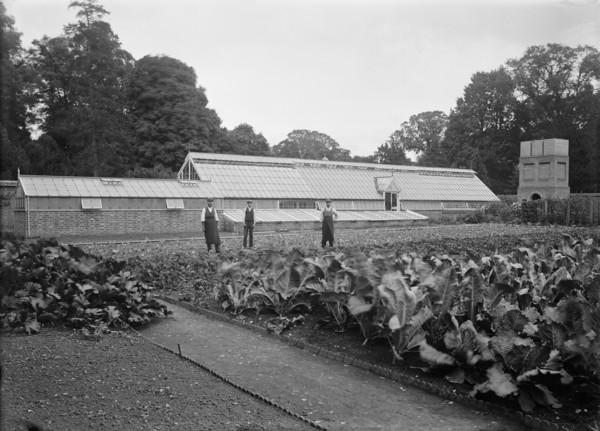 Greenhouses and kitchen garden at Notley Abbey House, Long Crendon, Buckinghamshire, 1904