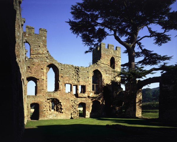 Castle Wall seen from interior, Acton Burnell Castle, Shropshire, 1985