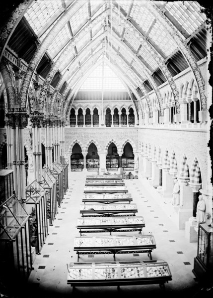 University Museum, Parks Road, Oxford, Oxfordshire, c1860-c1922
