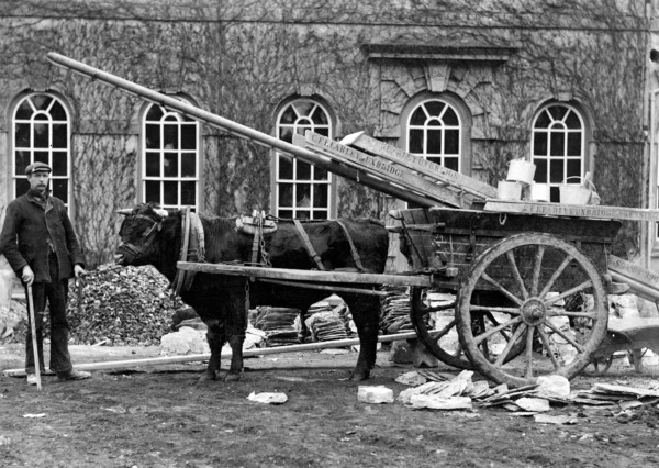 Workman posing outside a house with a bullock cart, Kingston Lisle, Oxfordshire, c1860-c1922