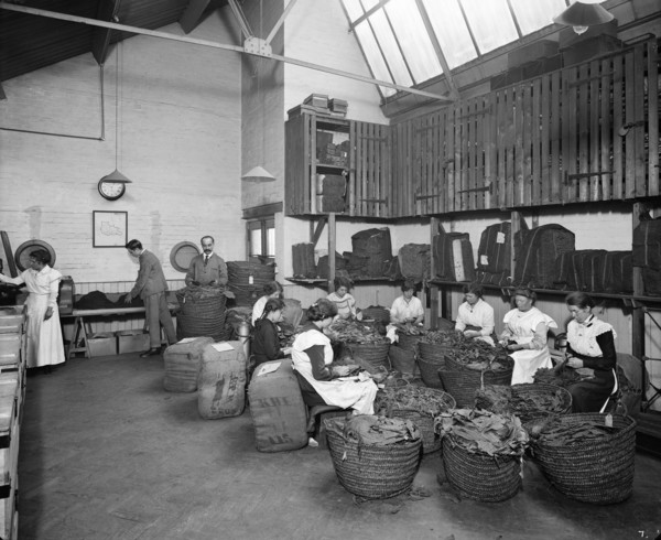 Teofani Cigarette Factory, Brixton, London, 1916