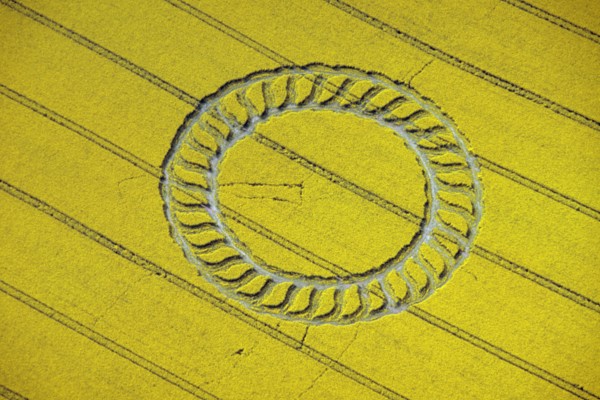 Crop circle near West Kennet, Wiltshire, 1998