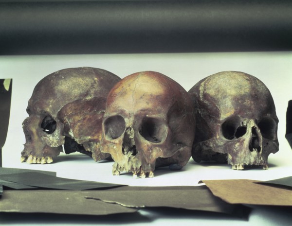 Skulls found in the stream-bed of the Walbrook, London, (60 AD?). Artist: Unknown