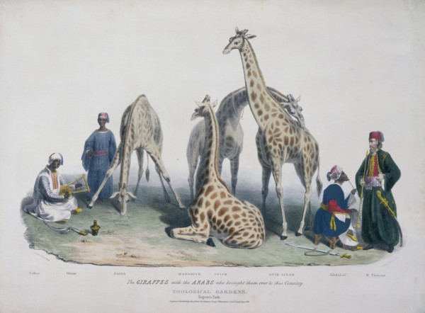 Zoological Gardens, Regent's Park, Marylebone, London, 1836. Artist: George Scharf