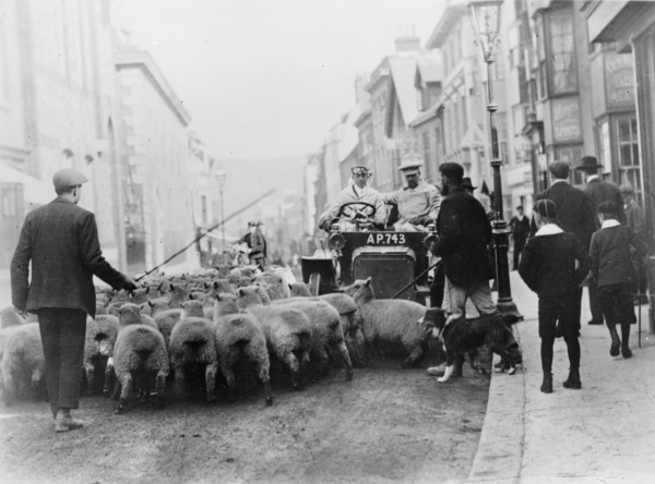 A car surrounded by sheep, Lewes High Street, East Sussex. Artist: Unknown