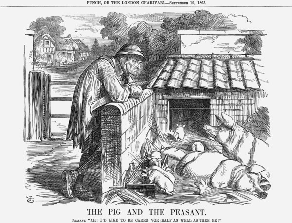 'The Pig and The Peasant', 1863. Artist: John Tenniel