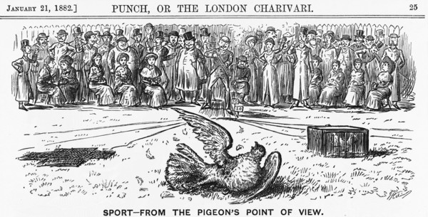 'Sport from the Pigeon's Point of View', 1882. Artist: Unknown