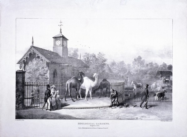 Zoological Gardens, Regent's Park, Marylebone, London, 1835. Artist: George Scharf