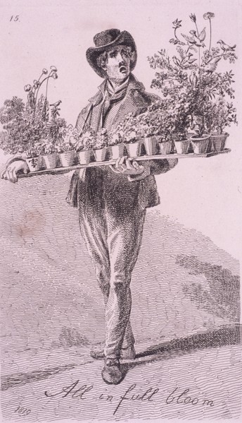 'All in full bloom', Cries of London, 1819. Artist: John Thomas Smith