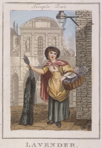 'Lavender', Cries of London, 1804. Artist: Anon