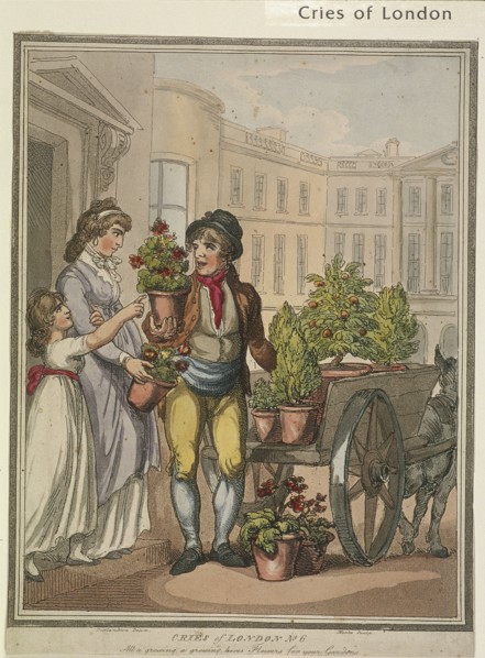 'All a growing, a growing, heres Flowers for you Gardens', plate VI of Cries of London, 1799. Artist: H Merke