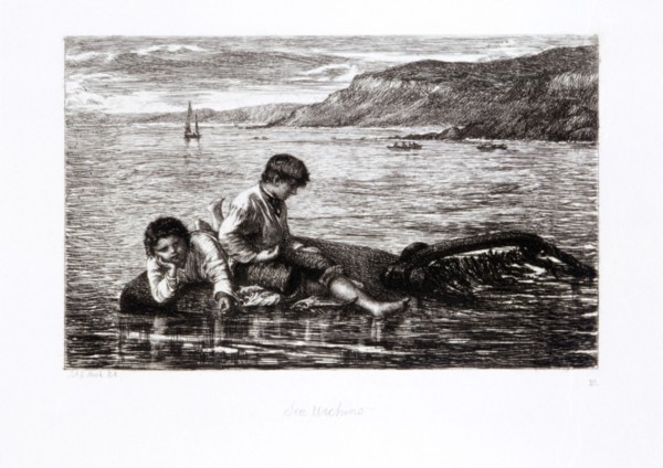 'Sea Urchins', 1872. Artist: James Clarke Hook