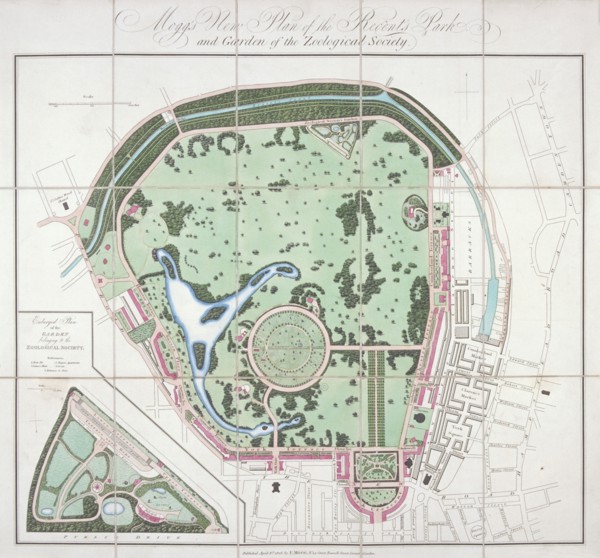 Plan of the Zoological Gardens, Regent's Park, St Marylebone, London, 1828. Artist: Edward Mogg