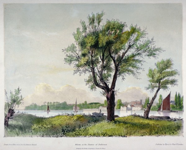 Battersea, London, 1840. Artist: Edward Hassell