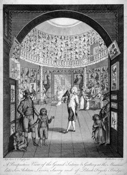 Interior view of the Leverian Museum, Albion Place, Southwark, London, c1795. Artist: William Skelton