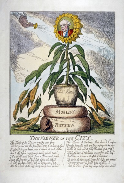 'The Flower of the City', 1809. Artist: Thomas Rowlandson