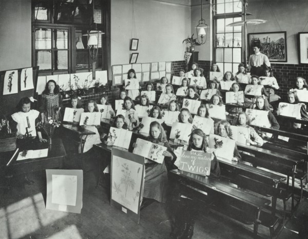 Nature lesson, Albion Street Girls School, Rotherhithe, London, 1908. Artist: Unknown.