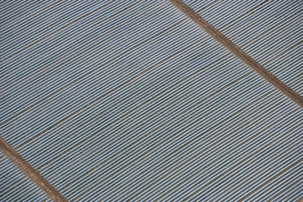 Polytunnels at Wood Bevington Farm, Salford Priors, Warwickshire, 2007