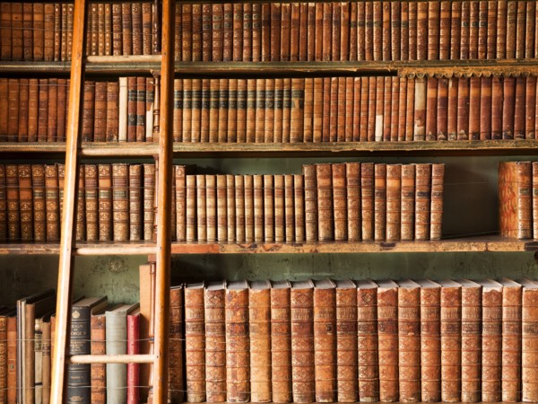 The library, Brodsworth Hall, South Yorkshire