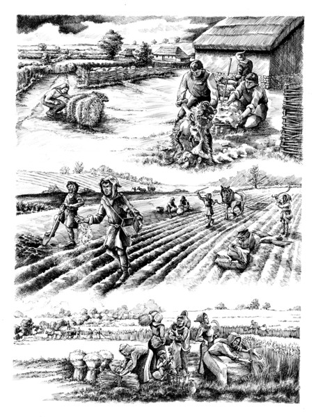 Medieval farming, c5th-15th century, (c1980-2010) Artist