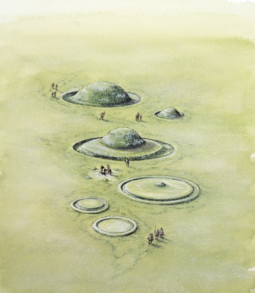 Bronze Age barrow types, Bronze Age, (c1990-2010)