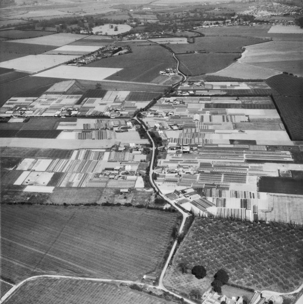 Foxash Estate, Ardleigh, Essex, 1967