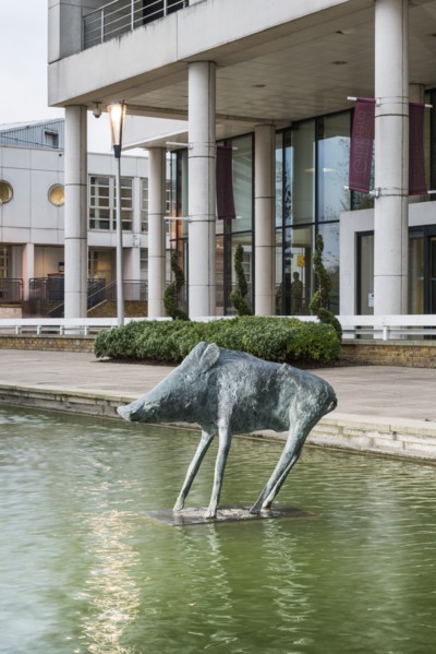 Boar', the Water Gardens, Harlow, Essex, 2015