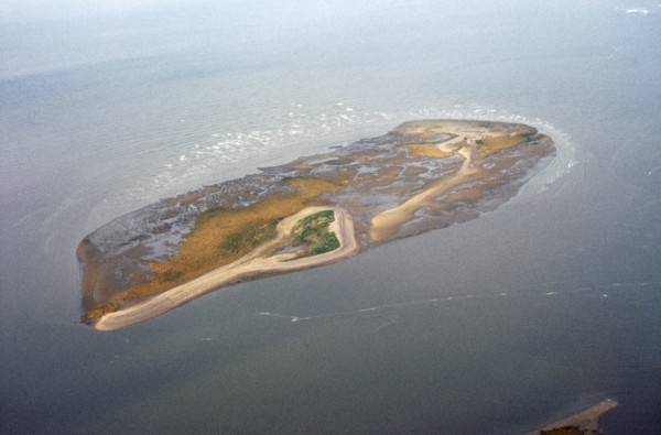 Stert Island, near Burnham on Sea, Somerset, 1970