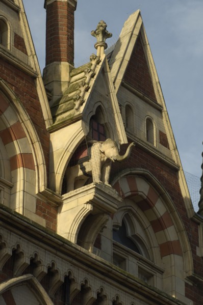 Elephant in niche, Elephant Tea Rooms, 64-66 Fawcett Street, Sunderland, Tyne and Wear, 2008