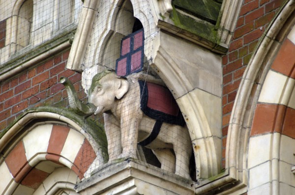 Elephant in niche, Elephant Tea Rooms, 64-66 Fawcett Street, Sunderland, Tyne and Wear, 2008