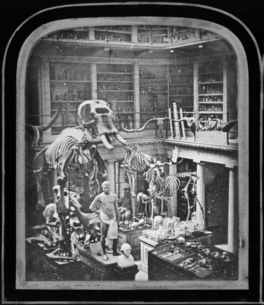 Royal College of Surgeons, Lincoln's Inn Fields, Holborn, London, 1852